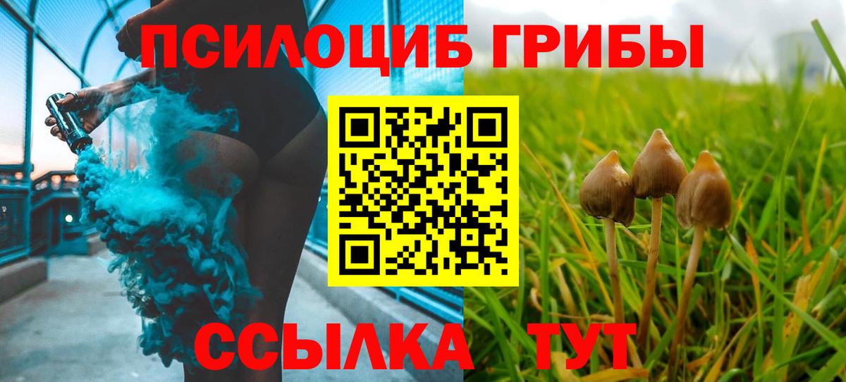 Псилоцибиновые грибы Magic Shrooms Пугачёв